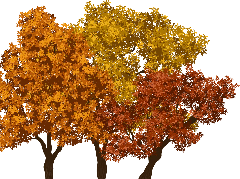 Left Tree
