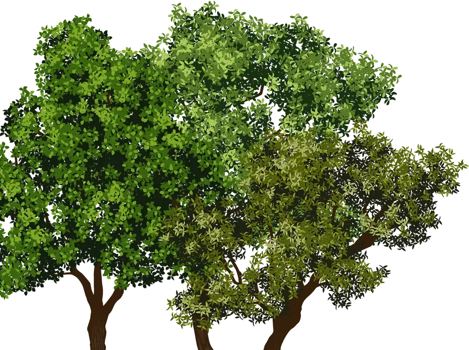 Left Tree