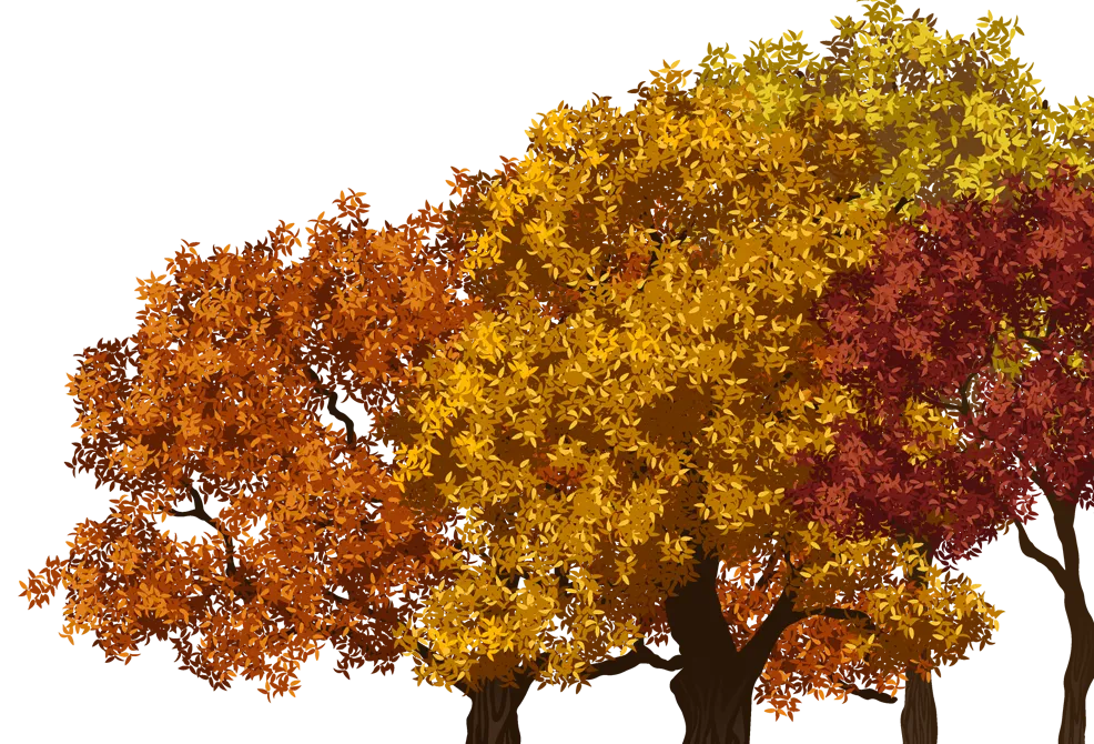 Right Tree