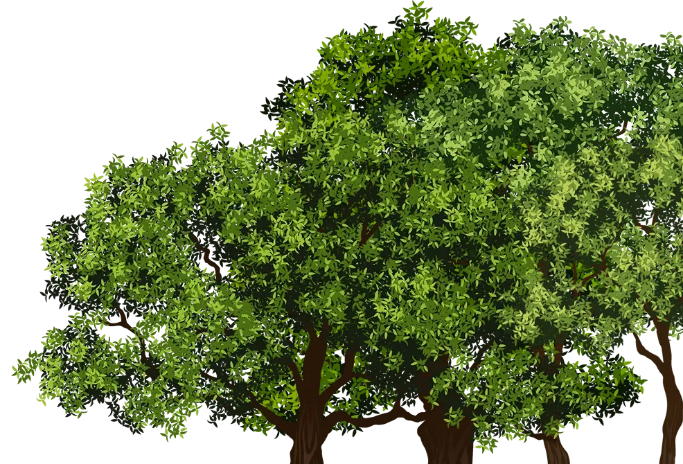 Right Tree